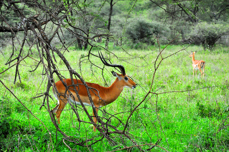 Melanie Heinrich Travel Images Africa